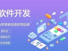黃石App開發(fā)及軟件技術(shù)推廣服務 數(shù)字化賦能區(qū)域發(fā)展新動力