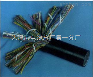 天津市電纜總廠第一分廠 專業打造礦用通信電纜，保障井下配線與用戶線路穩定可靠